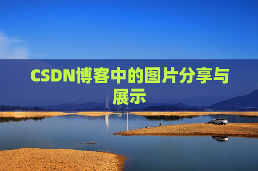 CSDN博客中的图片分享与展示